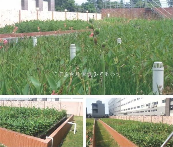 農(nóng)村污水來源及特點，農(nóng)村污水處理方法分享